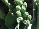 DSCF8142