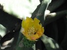 DSCF8146