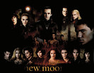 New Moon 7