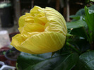 DSC06597