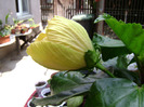 DSC06598