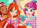 stellawinxclub17