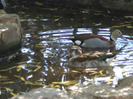 DSC00162