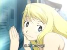 fma95
