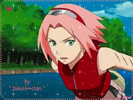 2-glitery_pl-asia9915-0-4310
