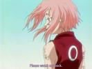 sakura-animestocks[com]-001