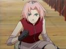 naruto_sakura904
