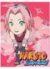 Naruto_Shippuden _Chibi_Sakura_Wallscroll
