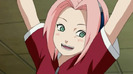sakura04-1