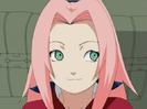 Sakura-1