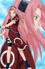 sakura-haruno