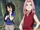 AyameSakura