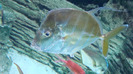 DSC01090