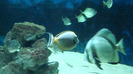DSC01096
