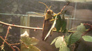 DSC01098