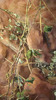 DSC01204