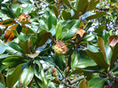 Copy of DSC02322