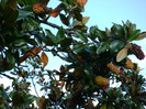 Copy of DSC02323