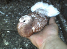 P19-06-11_12.56[4]