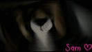 bscap0082