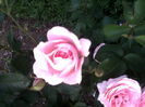 P130611_1955[03]