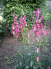 P130611_1956[02]