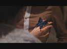 bscap0097