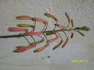 DSCI0212