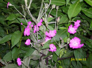 DSCI0222
