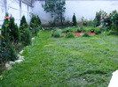 DSCF6028