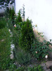 DSCF6043