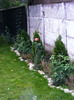 DSCF6090