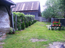 DSCF6094