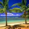 poze_wallpaper_vara_01-150x150[1]