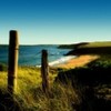 poze_wallpaper_vara_04-150x150[1]