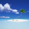 poze_wallpaper_vara_07-150x150[1]