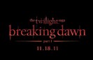 The Twilight Saga Breaking Dawn