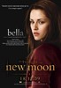 The Twilight Saga New Moon (7)