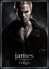 the Twilight Saga james
