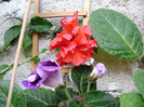 DSC06646