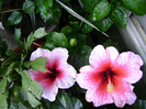DSC06639
