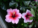 DSC06640