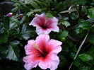 DSC06641