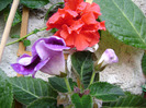 DSC06645