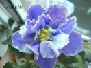 DSC03105