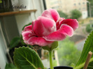 DSC03158