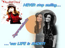 Demi-Wallpaper-demi-lovato-21835550-800-600