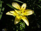 P5086161