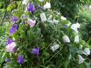 P5026132