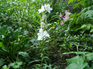 P5026133
